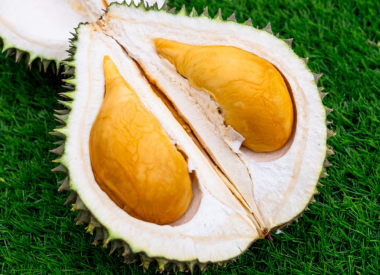 Discover the Durian Extrava ...